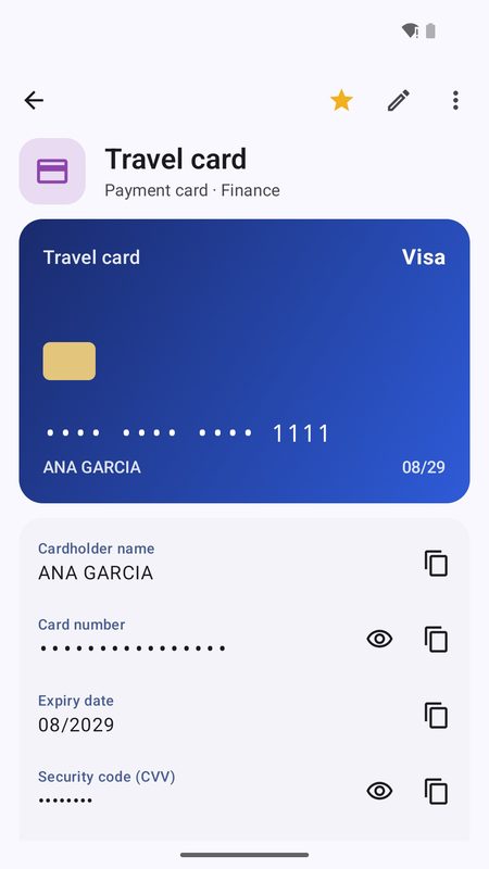 1B Pass: Carte di pagamento