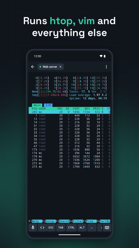 1B Terminal: htop, vim, tmux e tutto il resto