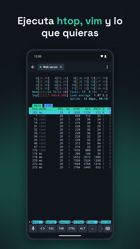 1B Terminal: htop, vim, tmux y todo lo demás