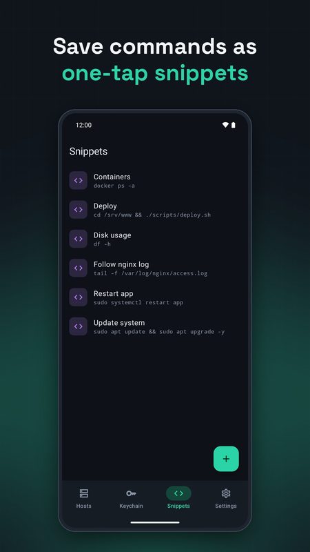 1B Terminal: Snippet con un tocco