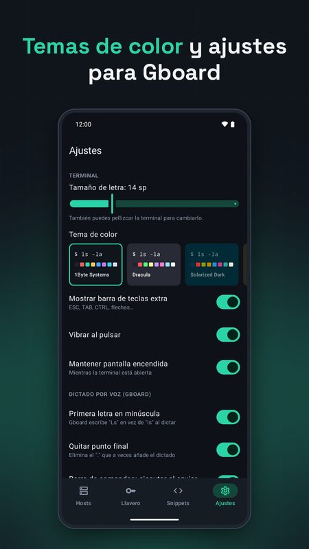 1B Terminal: Temas y ajustes